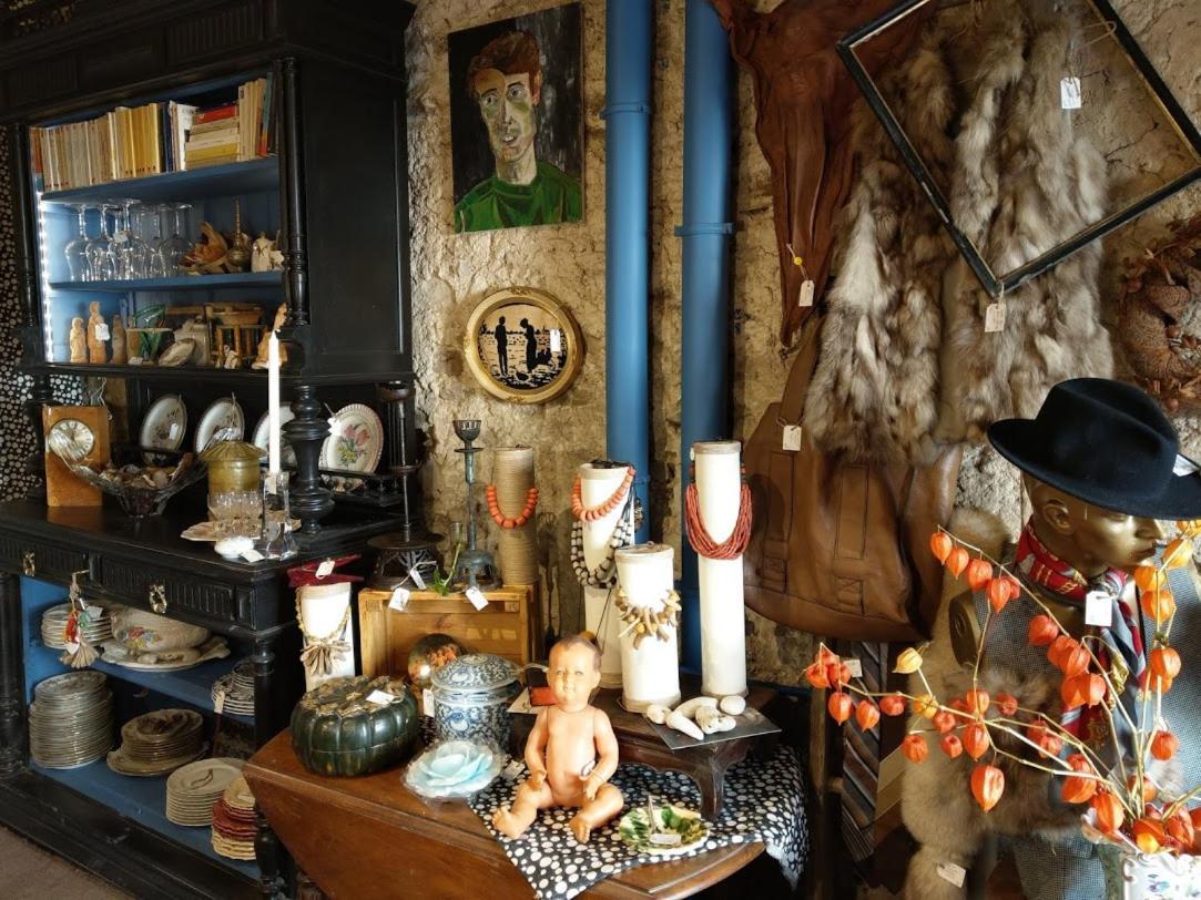 Maison D'Hotes "Les Volets Verts" Et Sa Brocante Ecueille Eksteriør billede