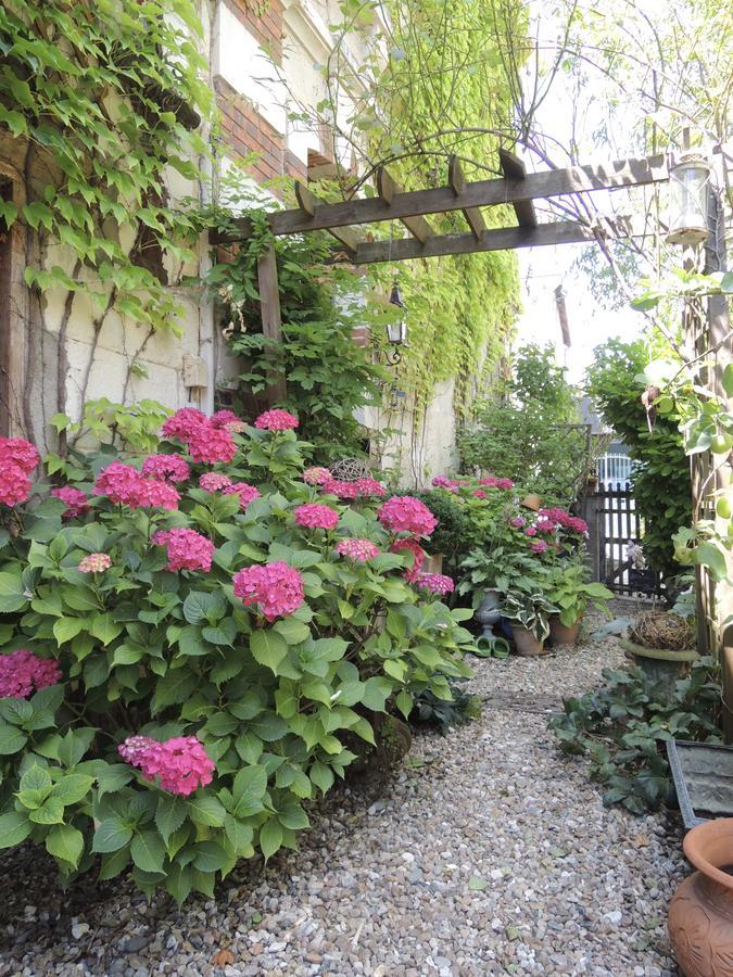Maison D'Hotes "Les Volets Verts" Et Sa Brocante Ecueille Eksteriør billede